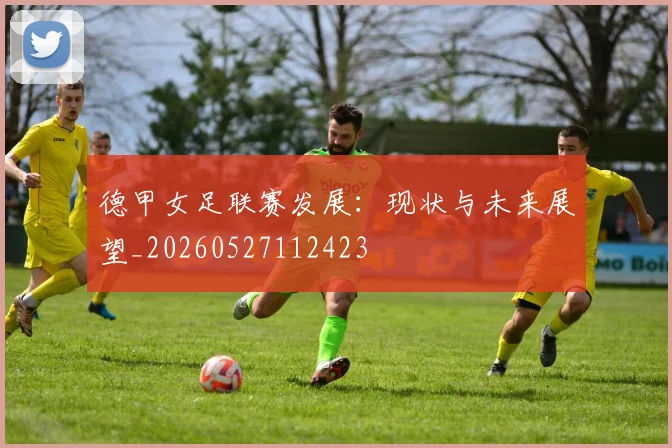 德甲女足联赛发展:现状与未来展望_20260527112423